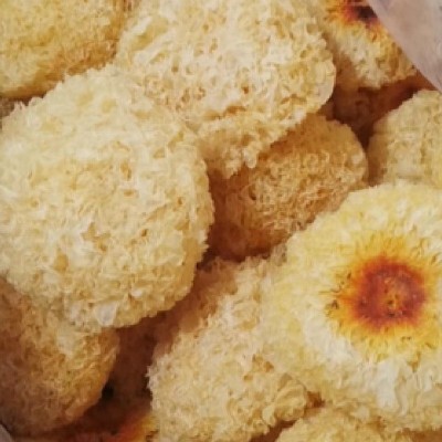 【一件起批】古田椴木小银耳干雪耳出胶糯耳小朵无硫白木耳干货图5