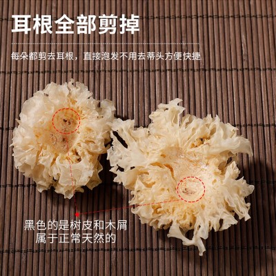 【一件起批】古田椴木小银耳干雪耳出胶糯耳小朵无硫白木耳干货图3