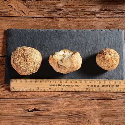 【一件起批】古田猴头菇干货500g食用菌菇煲汤食材特产新货无硫图3