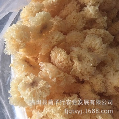 地方特产干货仿椴木小银耳一煮即糯雪耳羹福利团购酒店家庭火锅底