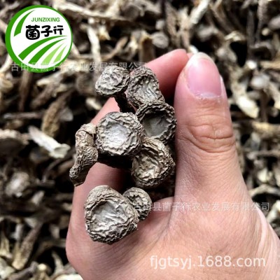 食用菌干货农产品整箱批发鹿茸菌中粗小条鹿茸菇脆脆菇一件代发图2