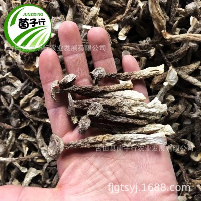 食用菌干货农产品整箱批发鹿茸菌中粗小条鹿茸菇脆脆菇一件代发