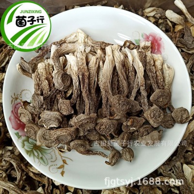 食用菌干货农产品整箱批发鹿茸菌中粗小条鹿茸菇脆脆菇一件代发图5