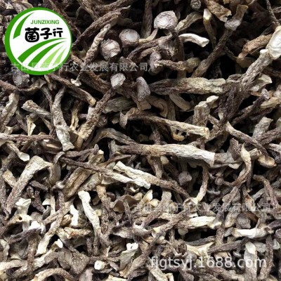 食用菌干货农产品整箱批发鹿茸菌中粗小条鹿茸菇脆脆菇一件代发图3