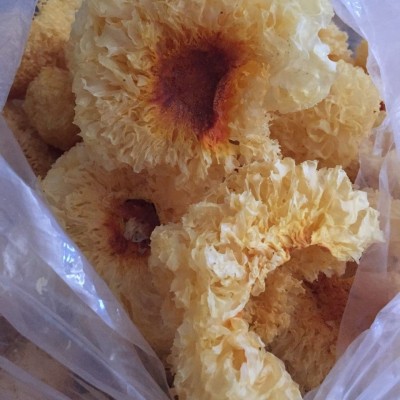 古田银耳块新鲜干货特产批发白木耳雪耳餐饮银耳羹原材料厂家图3