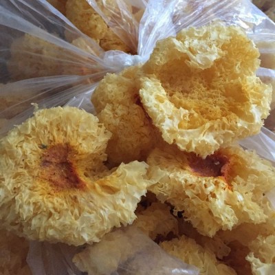 古田银耳块新鲜干货特产批发白木耳雪耳餐饮银耳羹原材料厂家图4