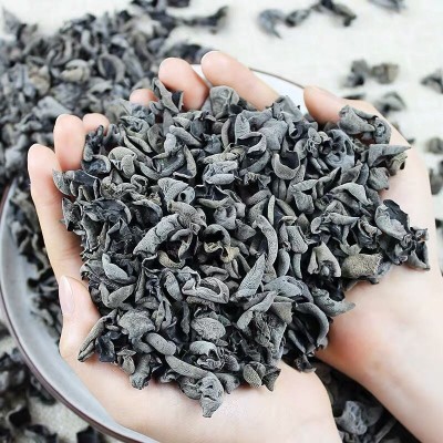 东北黑木耳干货500g椴木小碗耳野生秋木耳无根白木耳农产品批发