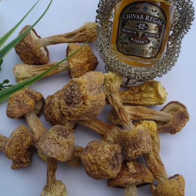 冠发 姬松茸食用菌菇巴西蘑菇干货味香云南特产500g图4