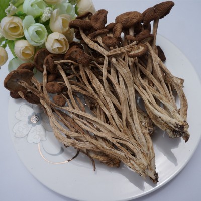 冠发古田特产不开伞茶树菇500g礼袋香嫩干货茶薪菇食用菌批发直销