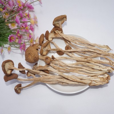 冠发古田特产不开伞茶树菇500g礼袋香嫩干货茶薪菇食用菌批发直销图2
