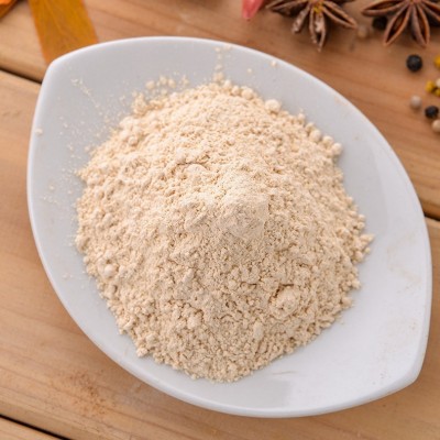 羽越蒜粉食用商用大蒜粉现货批发蒜香粉末厨房调料腌制烧烤佐料粉