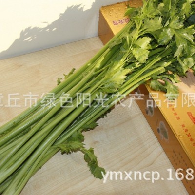 《尖口礼盒》章丘鲍芹 货源地直发 实心无丝无公害蔬菜图4