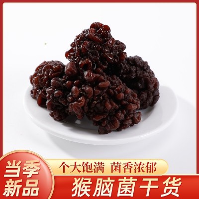 加工定制大个海参菇黑松菌玛咖菌茸菌玛瑙菌 猴脑菇核桃菌食用菌