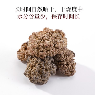 加工定制大个海参菇黑松菌玛咖菌茸菌玛瑙菌 猴脑菇核桃菌食用菌图4
