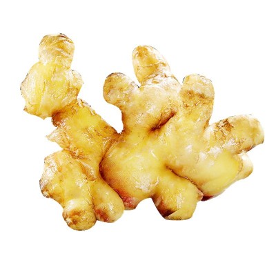 2025年云南小黄姜调味生姜应季蔬菜非文山姜姜批发一件代发359斤图4