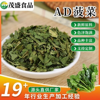 供应脱水蔬菜菠菜包子馅烘干菠菜粒 AD菠菜干