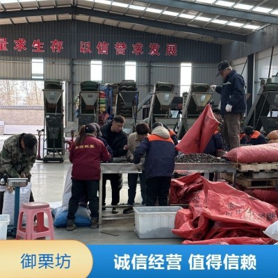 定制 迁 西板栗 味道好口感香甜 常年供 正宗特产 品质过硬