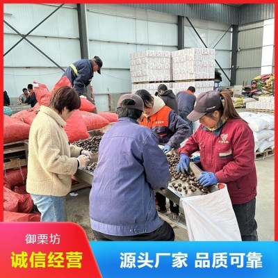 批发 迁 西板栗 零食大标小标栗子 原材料 产地直发图4