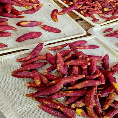 原味红瑶薯干带皮农家自晒红薯干无添加健康不加糖地瓜干厂家批发图3