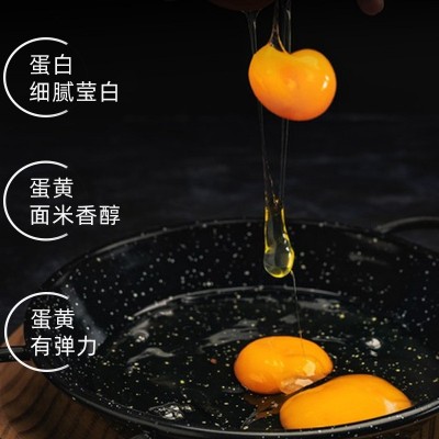 农家散养新鲜土鸡蛋礼品现捡农家鸡蛋绿壳蛋五谷喂养天然乌鸡蛋