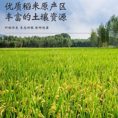 郯城粳米5斤10斤5KG真空包装虾田米新米厂家批发代发图2