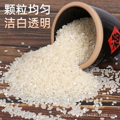 郯城粳米5斤10斤5KG真空包装虾田米新米厂家批发代发图4