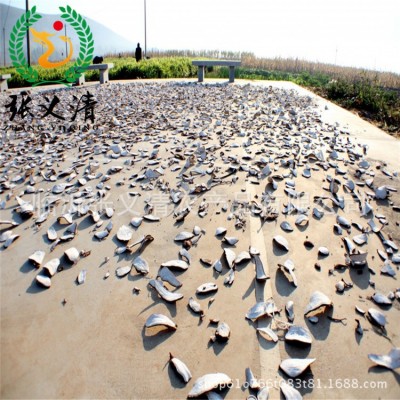 散装地瓜干手捡片大量散装红薯片淀粉含量高红薯干厂家批发图2