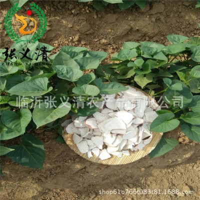 散装甘薯片山东特产红薯片厂家大量批发地瓜干 农副特产甘薯干图3