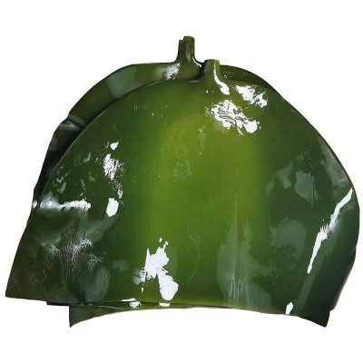 福建霞浦金海洋海带厂 内海日晒海带 原产地海带头厂家直售20斤装图4