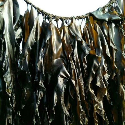 福建霞浦金海洋海带厂三两片内海日晒海带厂家源头货批发8.8斤装图2