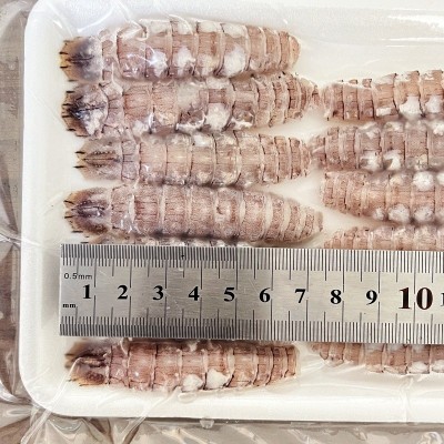 虾蛄肉去壳皮皮虾濑尿虾寿司饭团日料小炒原味海鲜冷冻水产家商用图3