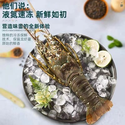 厂家直供小青龙虾鲜活速冻大龙虾大青龙花龙东山岛大海虾厂家直供图2