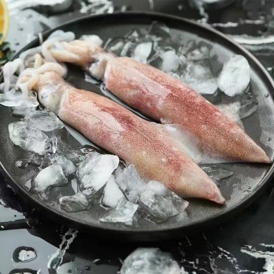 东山岛带籽鱿鱼海兔带饭母管有蛋鱿鱼速冻保鲜灯照鱿鱼满籽笔管鱼图4