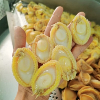 速冻鲍鱼肉 去壳肚盐磨 黄金冻鲍肉纯肉 原料供应批发厂家直销图5