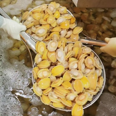 速冻鲍鱼肉 去壳肚盐磨 黄金冻鲍肉纯肉 原料供应批发厂家直销图3