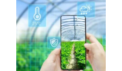 革新农业景观:解析垂直农业13大创新栽培法,开启城市绿洲新篇章