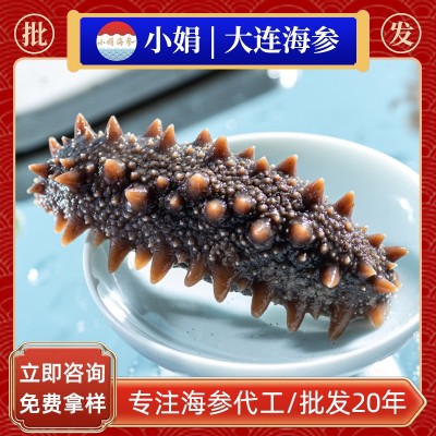 淡干海参干货辽参刺参大连海参批发 国标深海参高泡发干货可代发图5