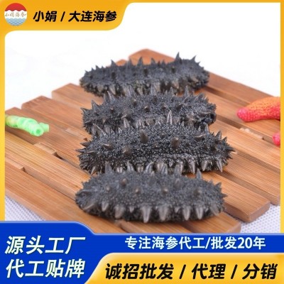 大连半干海参批发小火半干拉缸盐辽刺参源头工厂直供餐饮酒店定制