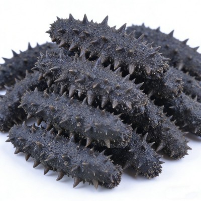 大连半干海参批发小火半干拉缸盐辽刺参源头工厂直供餐饮酒店定制图4