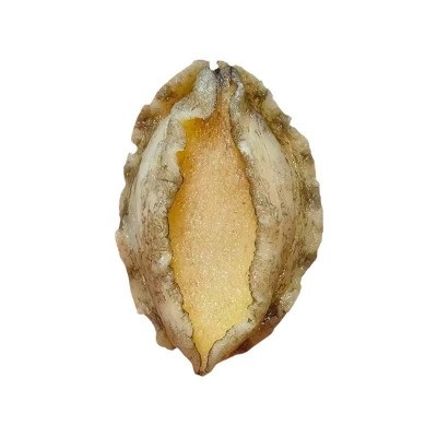 新鲜速冻即食鲍鱼肉酒店食材去壳鲍鱼火锅辅料工厂批发原料鲜鲍鱼图4