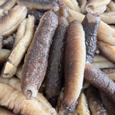 海味批发黑秃参即食海参酒店食材工厂批发货源水发海参秃参冷冻品图2