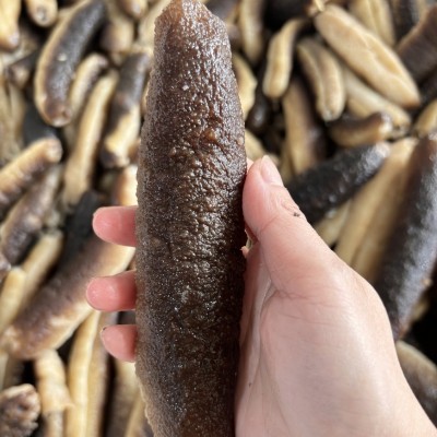 海味批发黑秃参即食海参酒店食材工厂批发货源水发海参秃参冷冻品图3