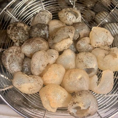 水发球参 冷冻淡干海参 酒店食材工厂批发原料清水冻干海参免泡发图4