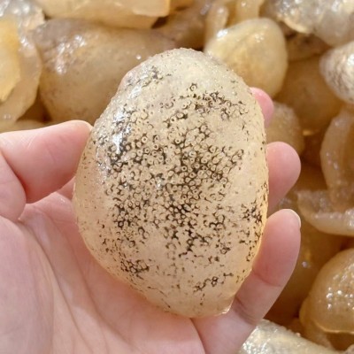 水发球参 冷冻淡干海参 酒店食材工厂批发原料清水冻干海参免泡发图2