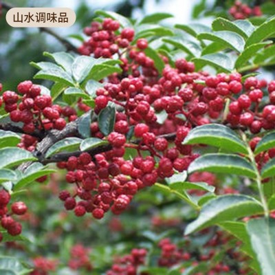 OEM贴牌干花椒可出口欧盟东南亚北美等大红袍花椒粒调味品可商检图2