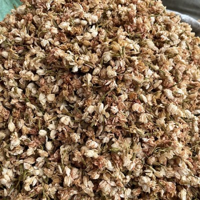 批发广西茉莉花干货 产地货源横县茉莉花茶散装图3