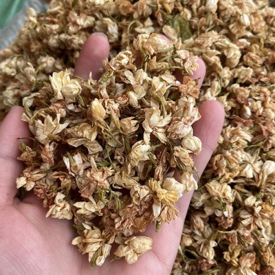 批发广西茉莉花干货 产地货源横县茉莉花茶散装图2