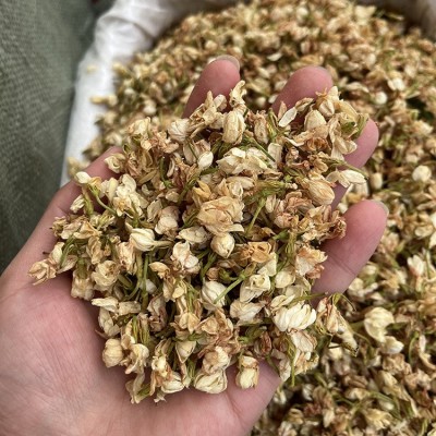 批发广西茉莉花干货 产地货源横县茉莉花茶散装