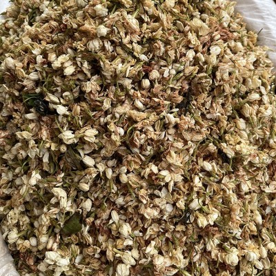 批发广西茉莉花干货 产地货源横县茉莉花茶散装图4