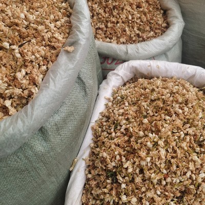 批发广西茉莉花干货 产地货源横县茉莉花茶散装图5